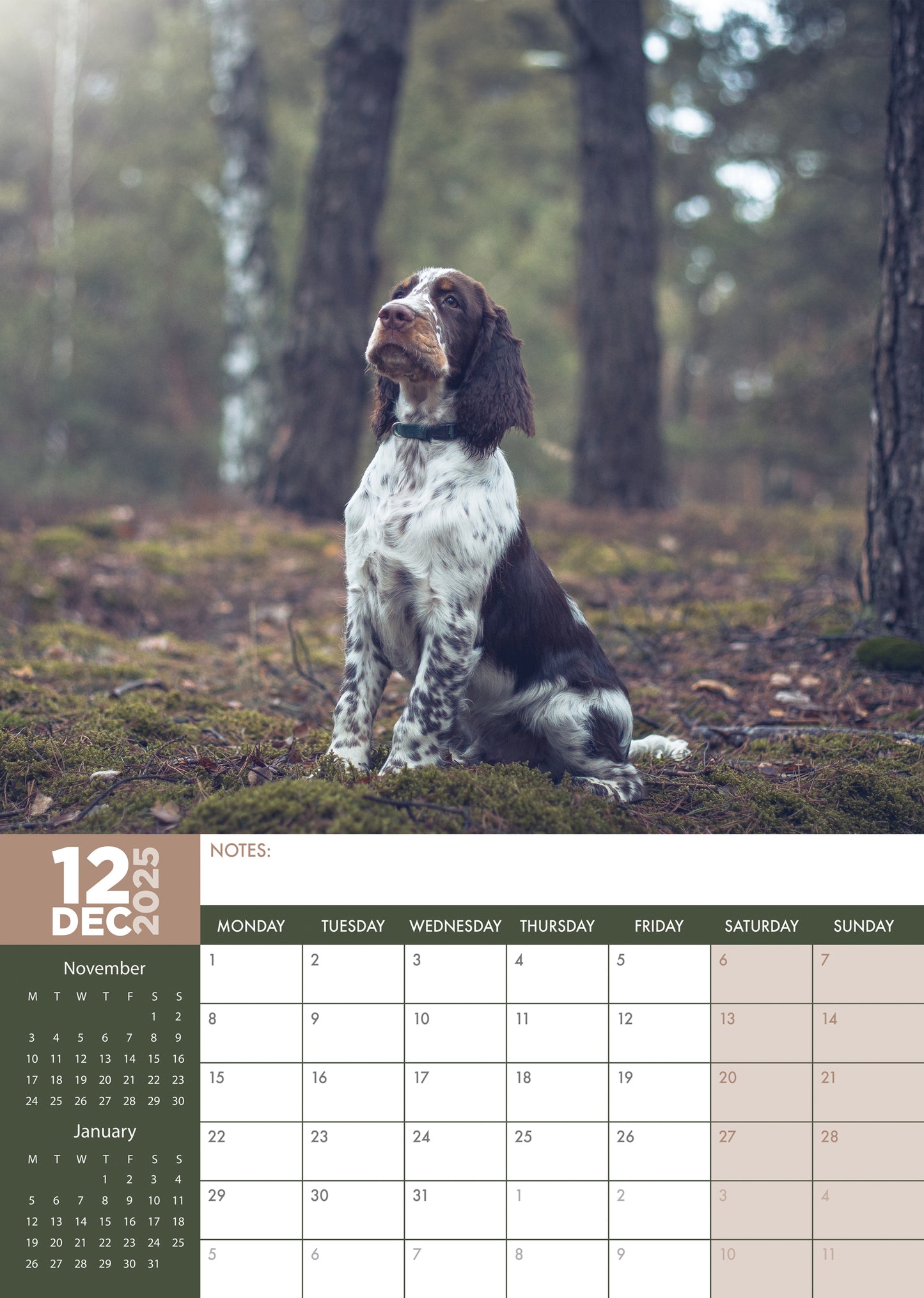 English Springer Spaniel Calendar 2025