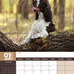 English Springer Spaniel Calendar 2025