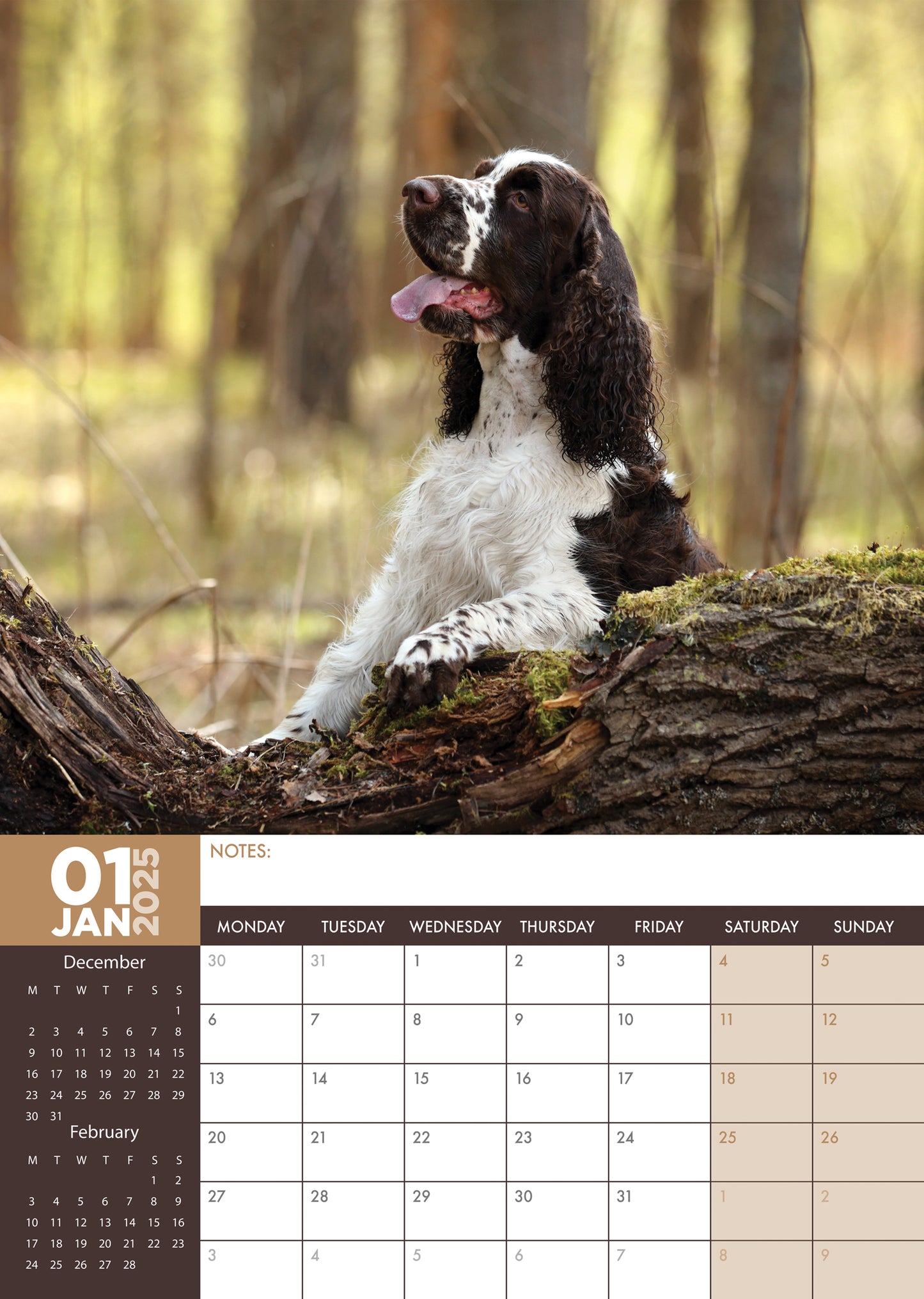 English Springer Spaniel Calendar 2025