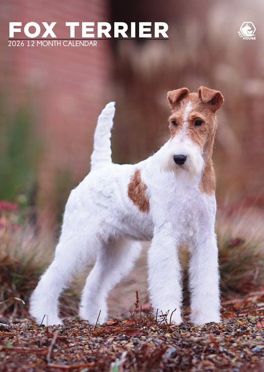 Fox Terrier - A3 Calendar 2026