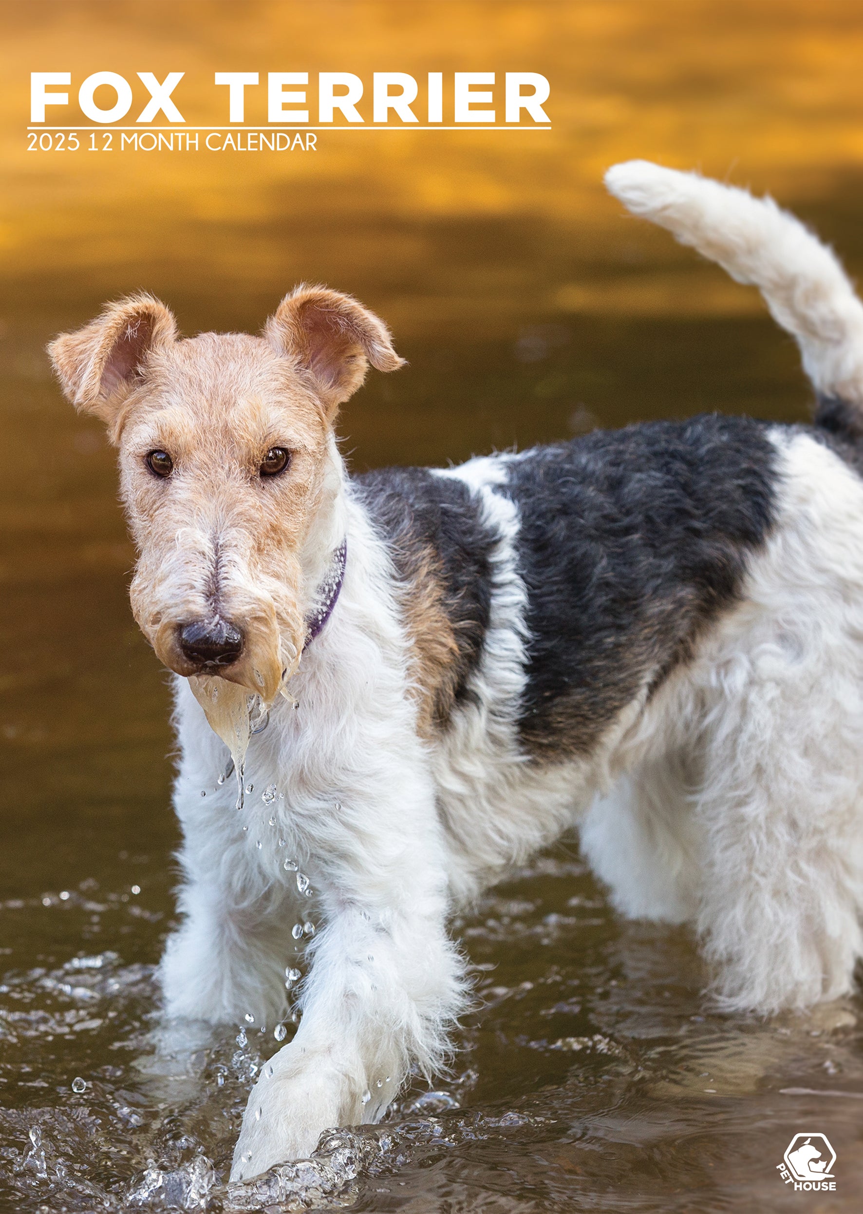 Fox Terrier Calendar 2025 CalendarsRus