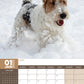 Fox Terrier Calendar 2025