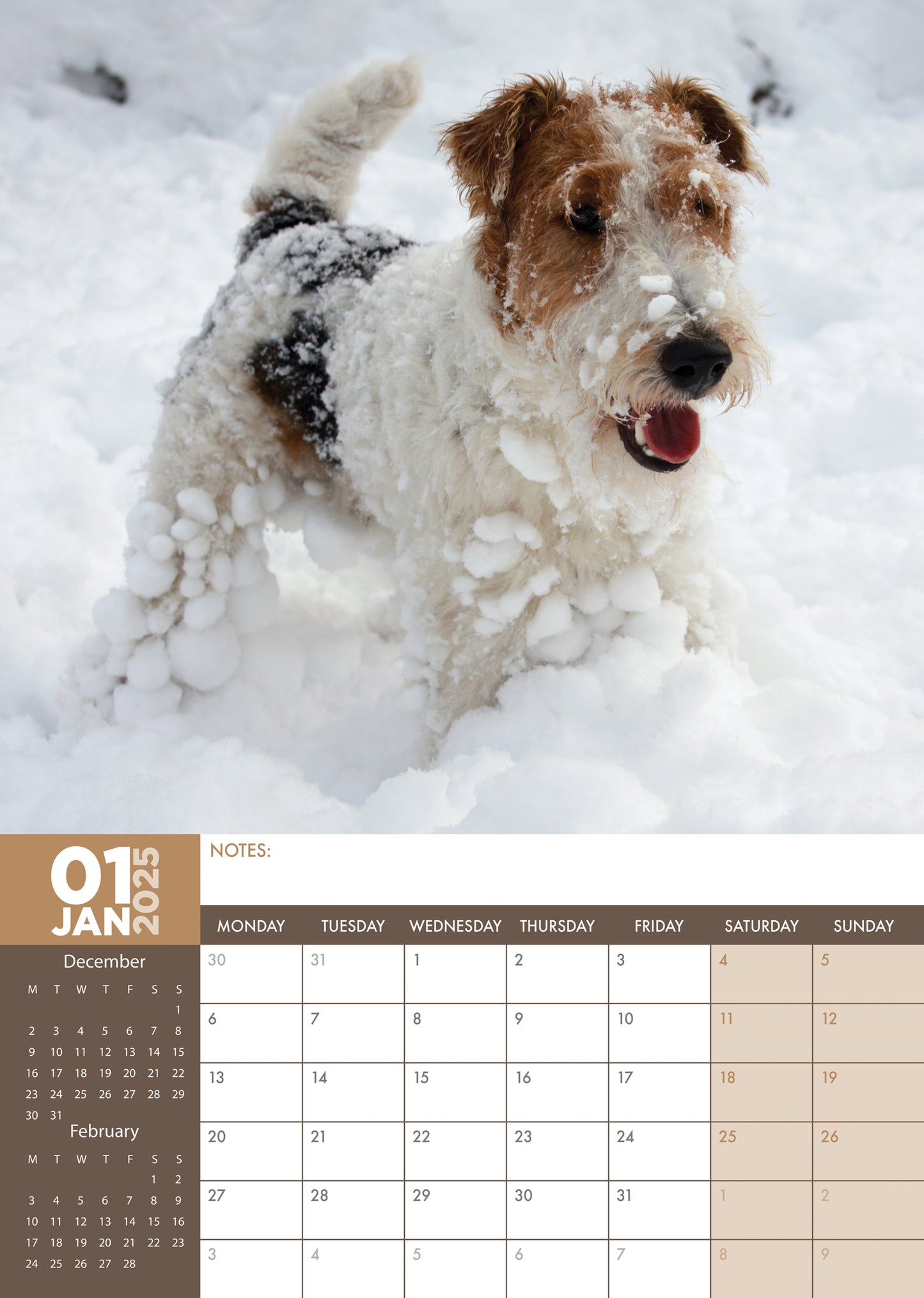 Fox Terrier Calendar 2025