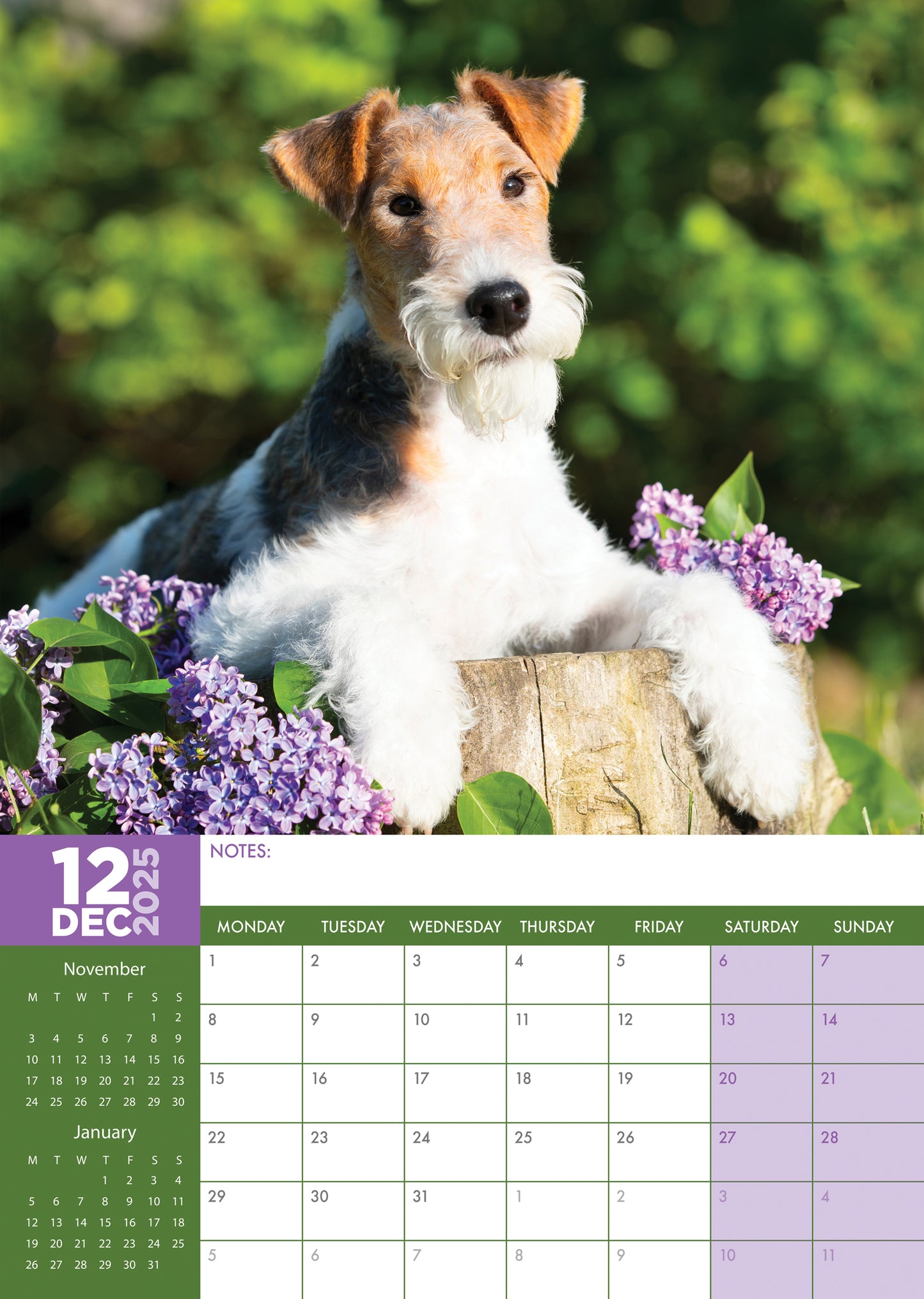 Fox Terrier Calendar 2025