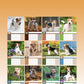 Fox Terrier Calendar 2025