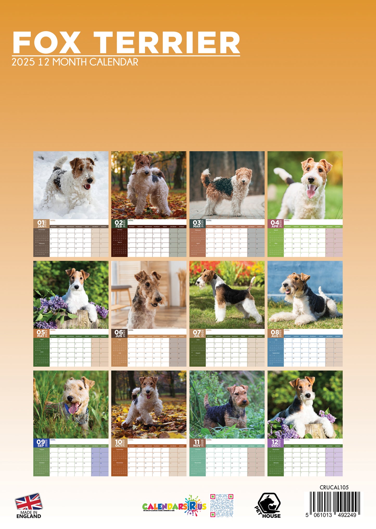 Fox Terrier Calendar 2025