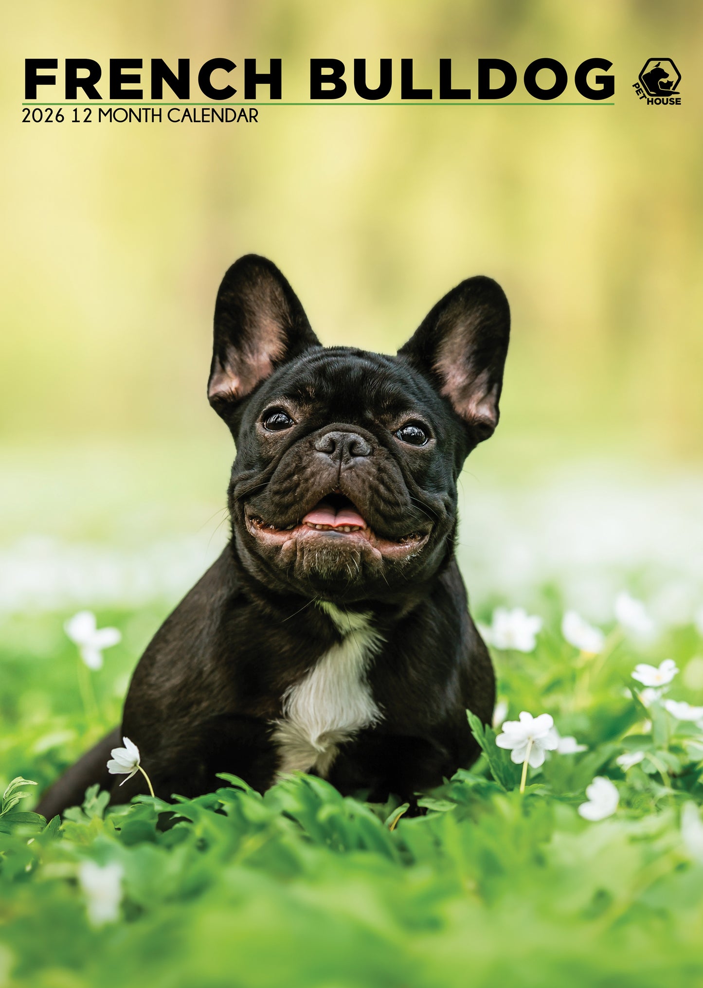 French Bulldog - A3 Wholesale