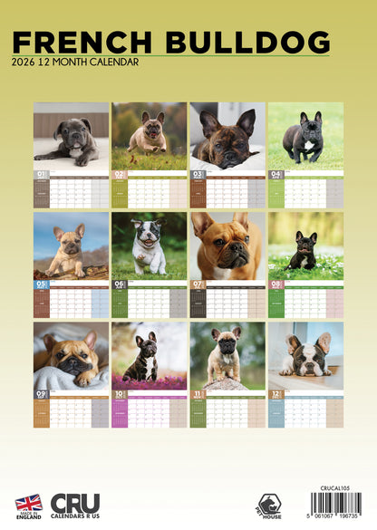 French Bulldog - A3 Calendar 2026