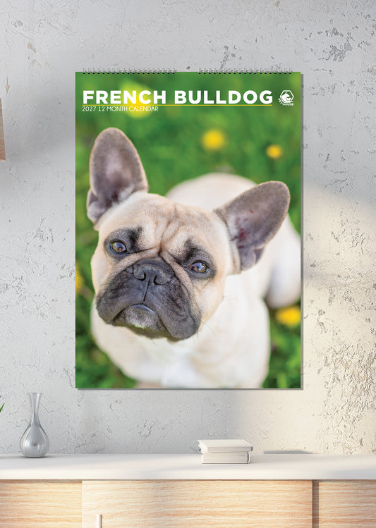 French Bulldog - A3 Calendar 2027