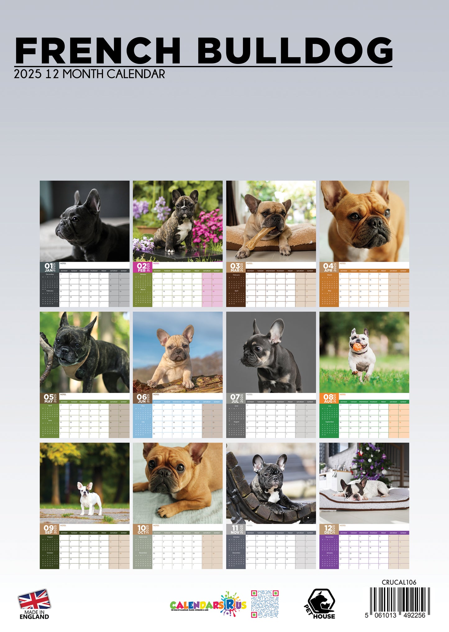 French Bulldog Calendar 2025