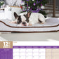 French Bulldog Calendar 2025