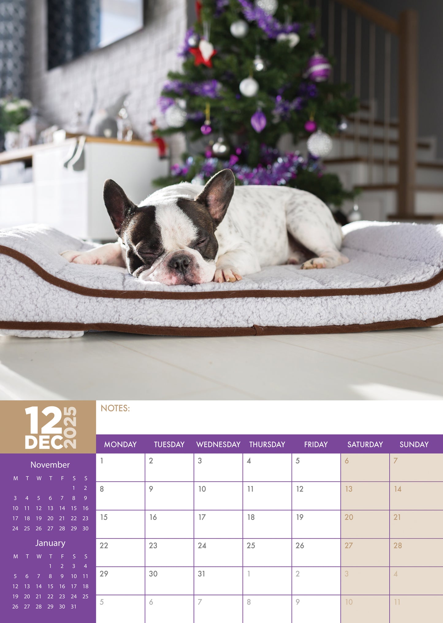 French Bulldog Calendar 2025