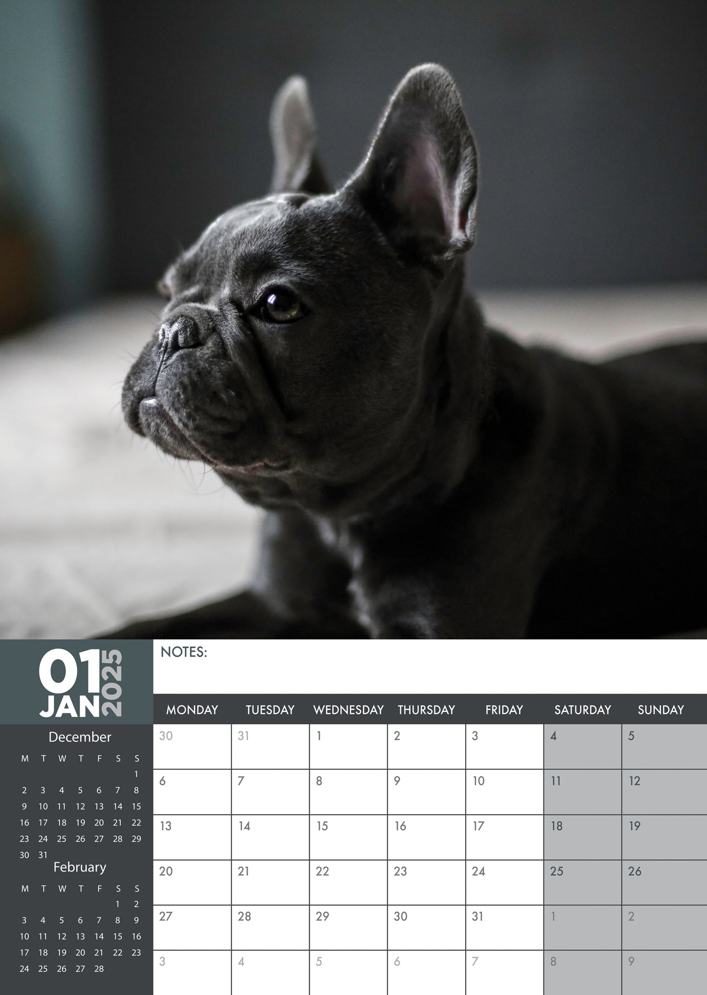 French Bulldog Calendar 2025