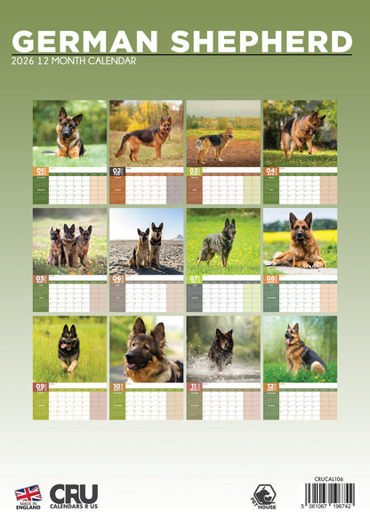 German Shepherd - A3 Calendar 2026