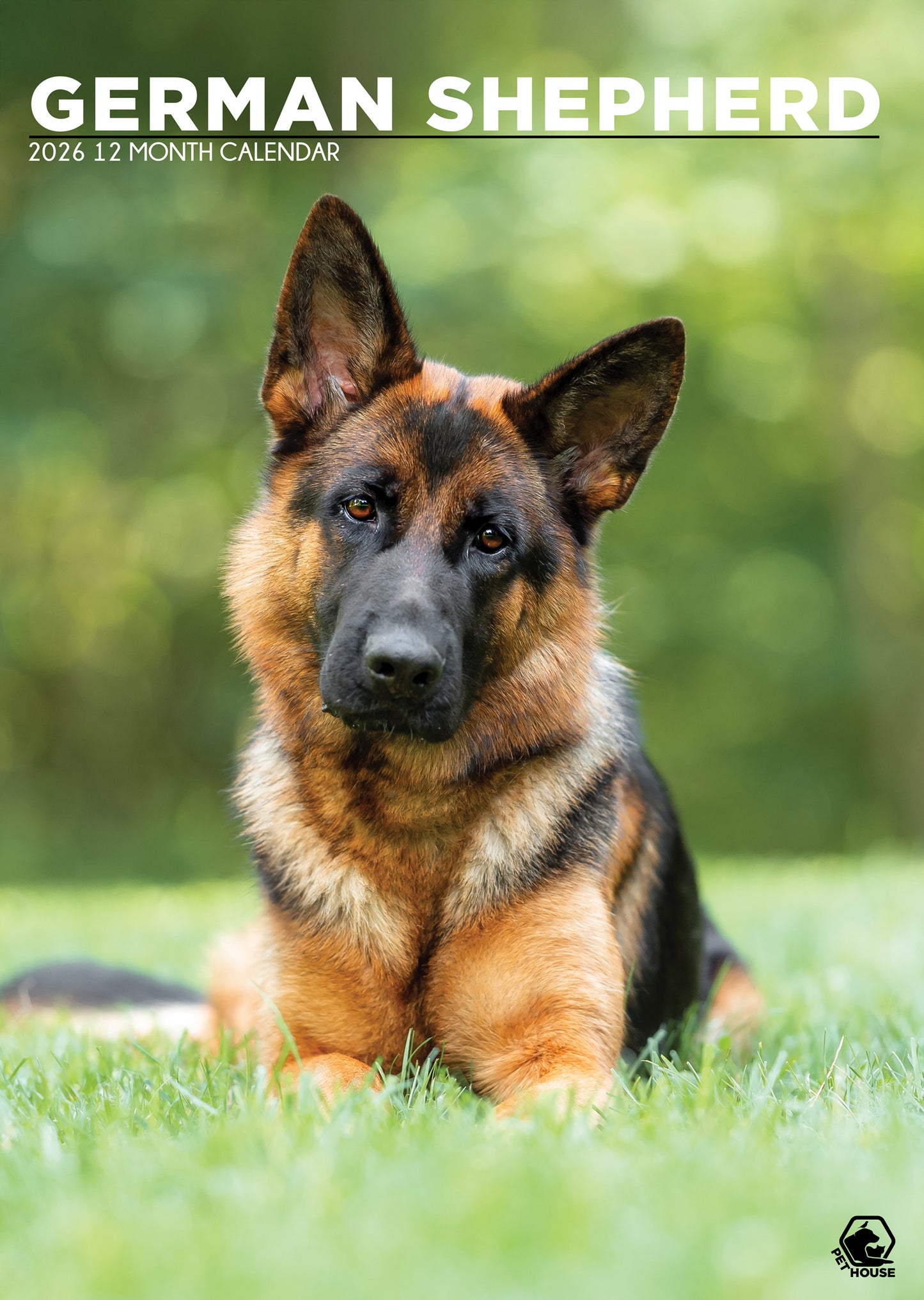 German Shepherd - A3 Calendar 2026