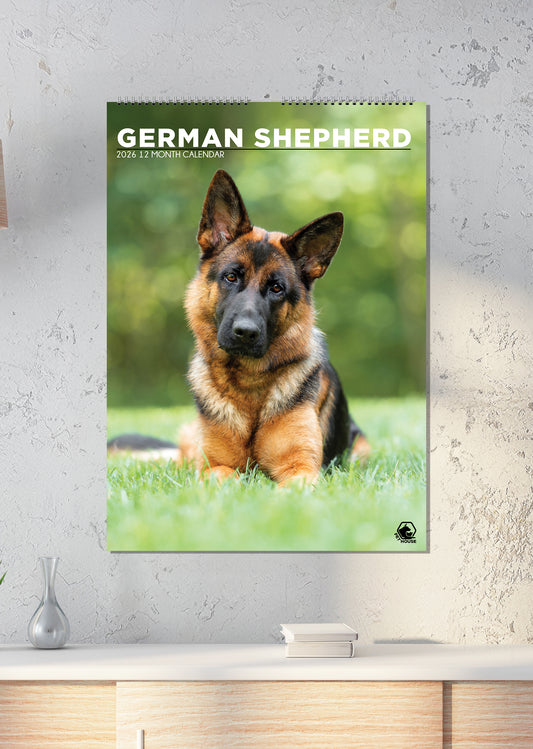 German Shepherd - A3 Calendar 2026