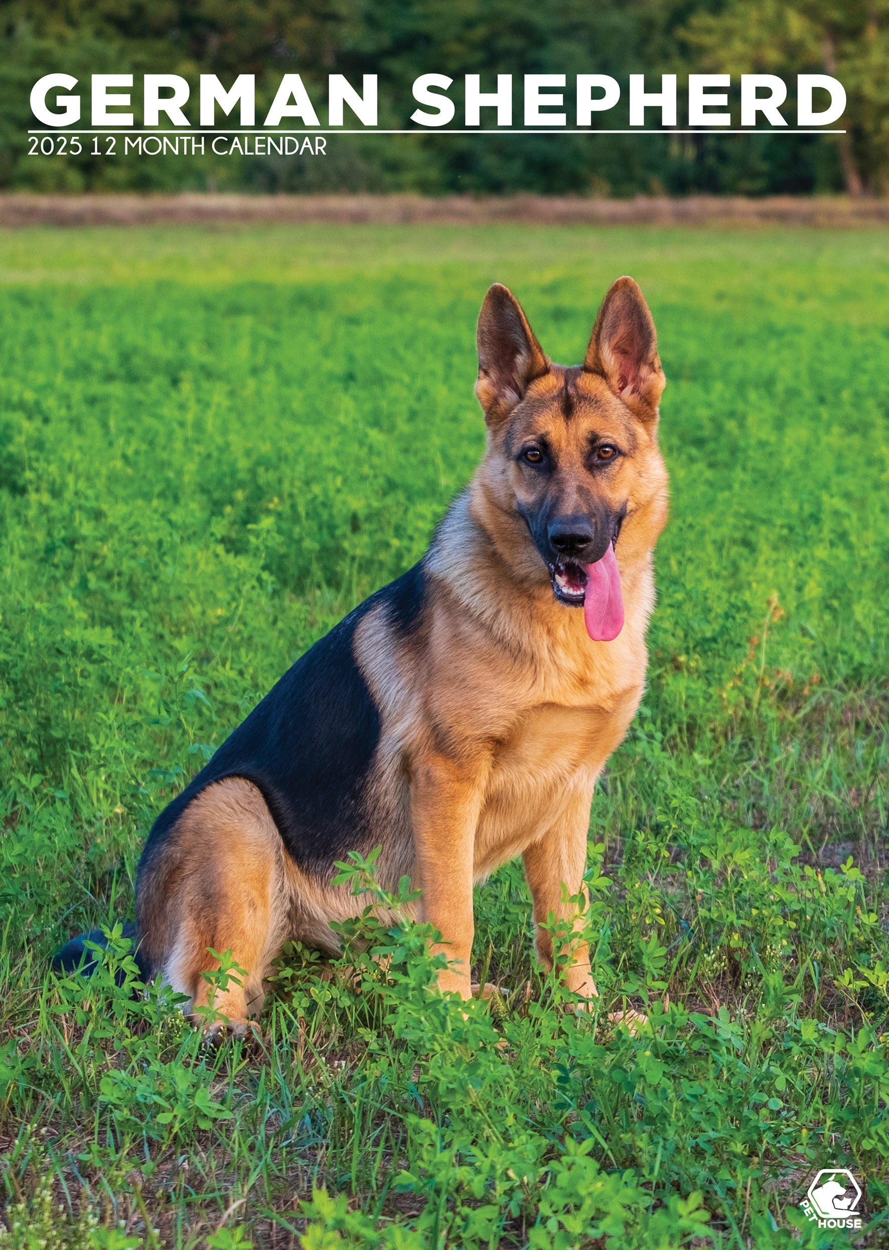 German Shepherd Calendar 2025 CalendarsRus