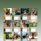 German Shepherd Calendar 2025