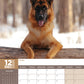 German Shepherd Calendar 2025