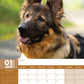 German Shepherd Calendar 2025