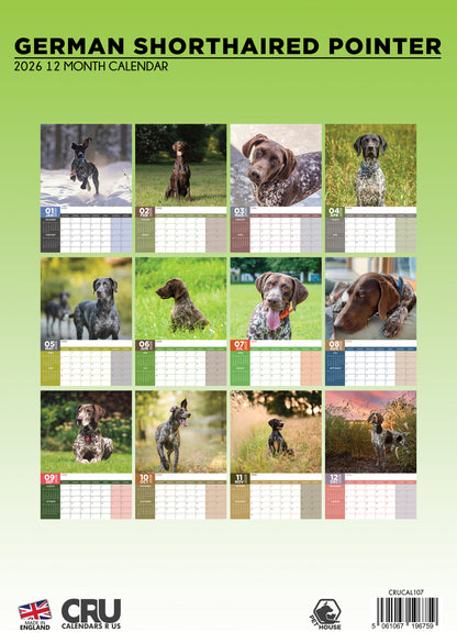 German Short Haired Pointer - A3 Calendar 2026