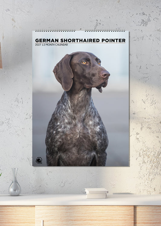 German Short Haired Pointer - A3 Calendar 2027