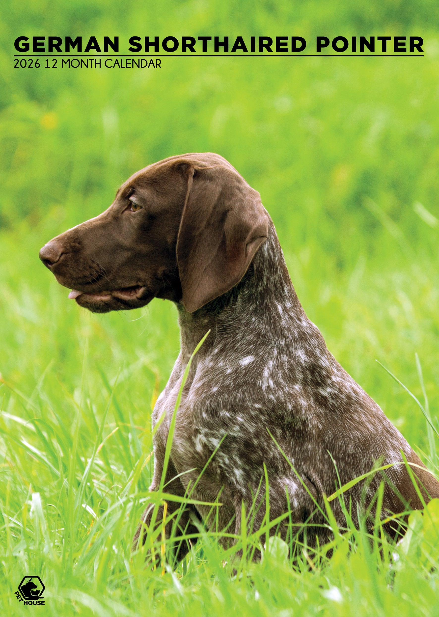 German Short Haired Pointer A3 Calendar 2026 CalendarsRus