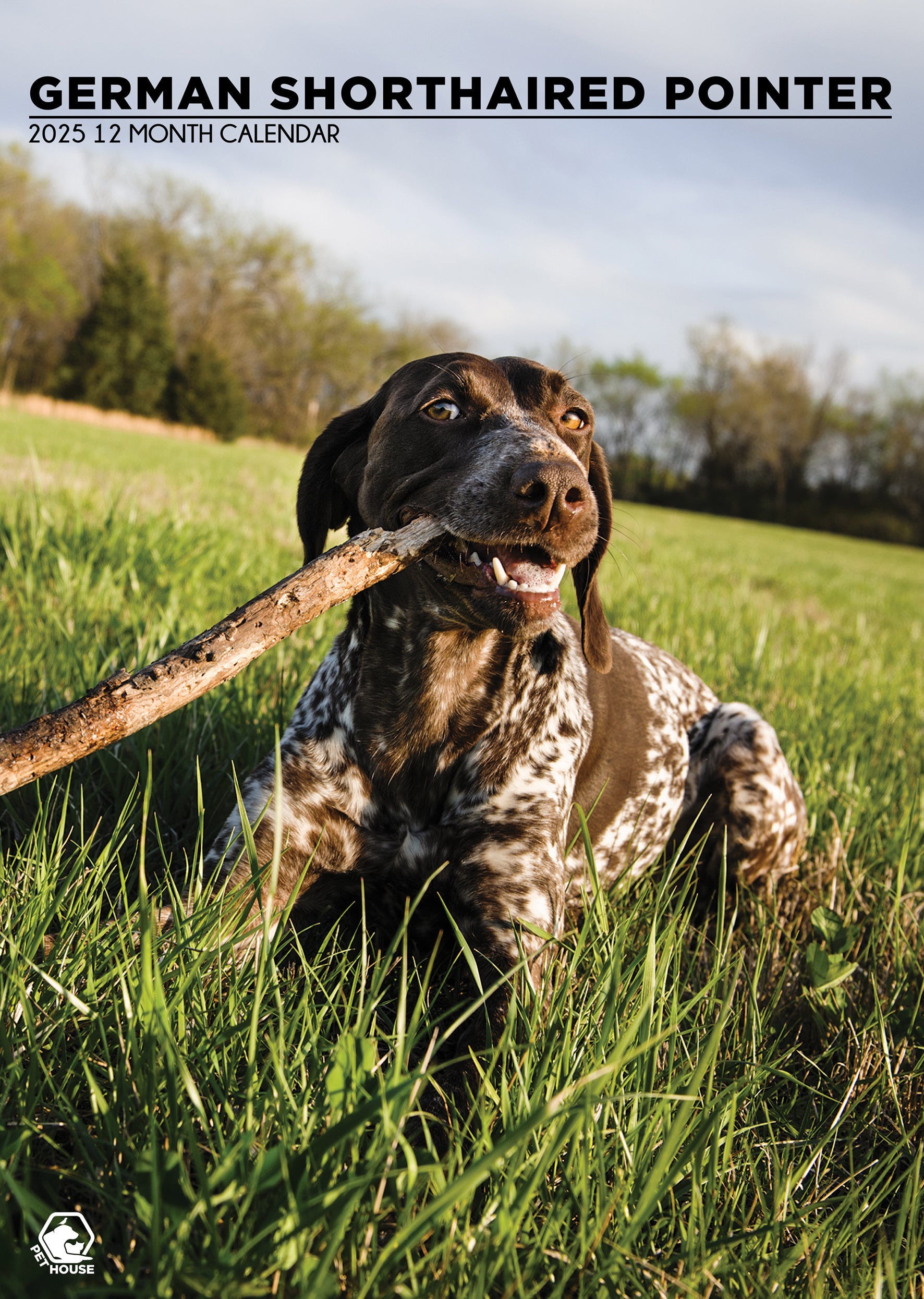 German Short Haired Pointer Calendar 2025 CalendarsRus