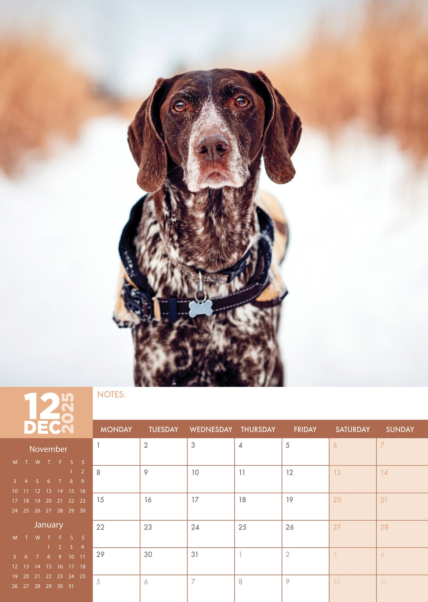 German Short Haired Pointer Calendar 2025