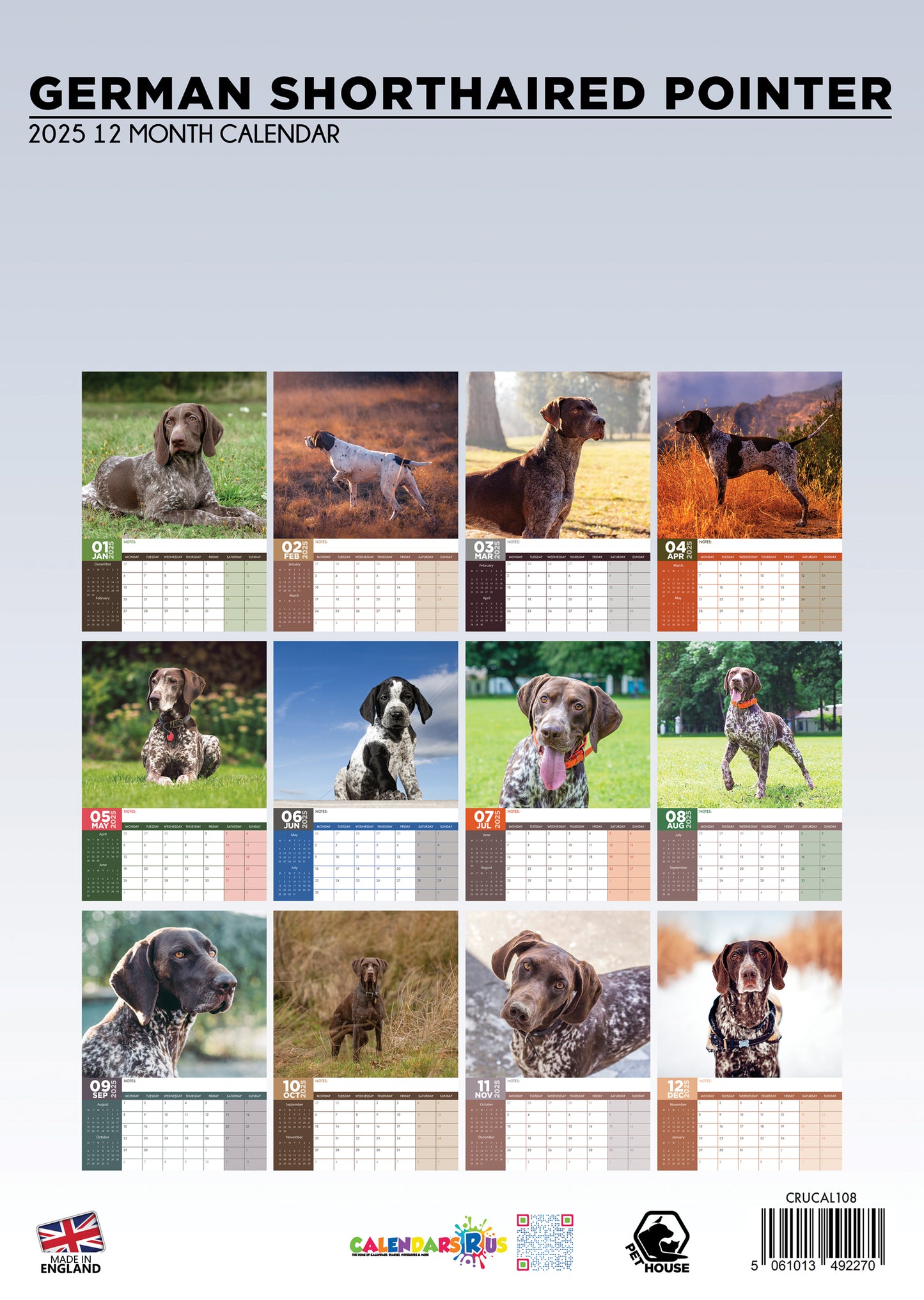 German Short Haired Pointer Calendar 2025