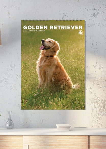 Golden Retriever - A3 Calendar 2027