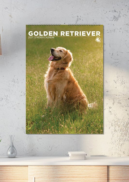 Golden Retriever - A3 Calendar 2027