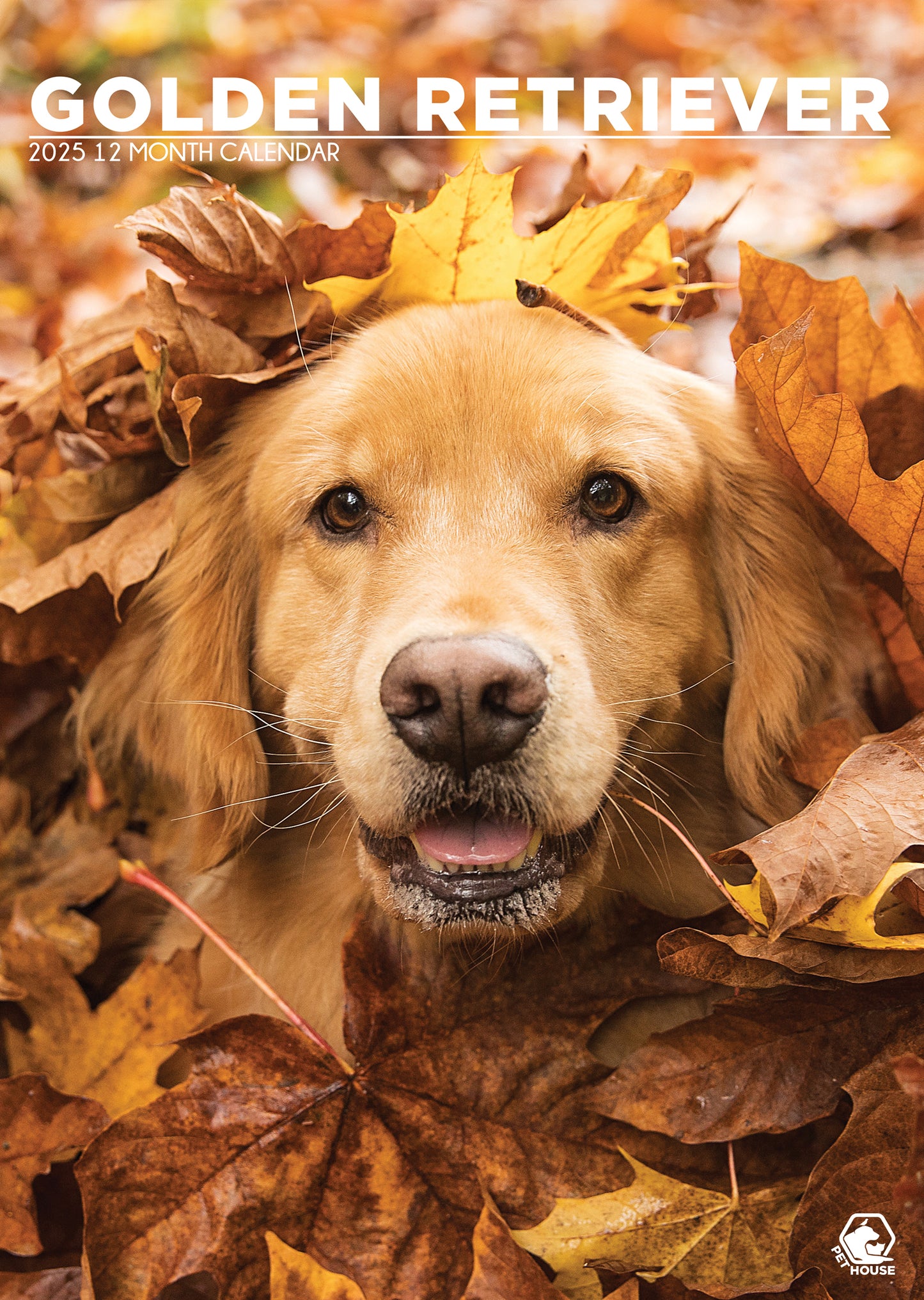 Golden Retriever Calendar 2025 CalendarsRus