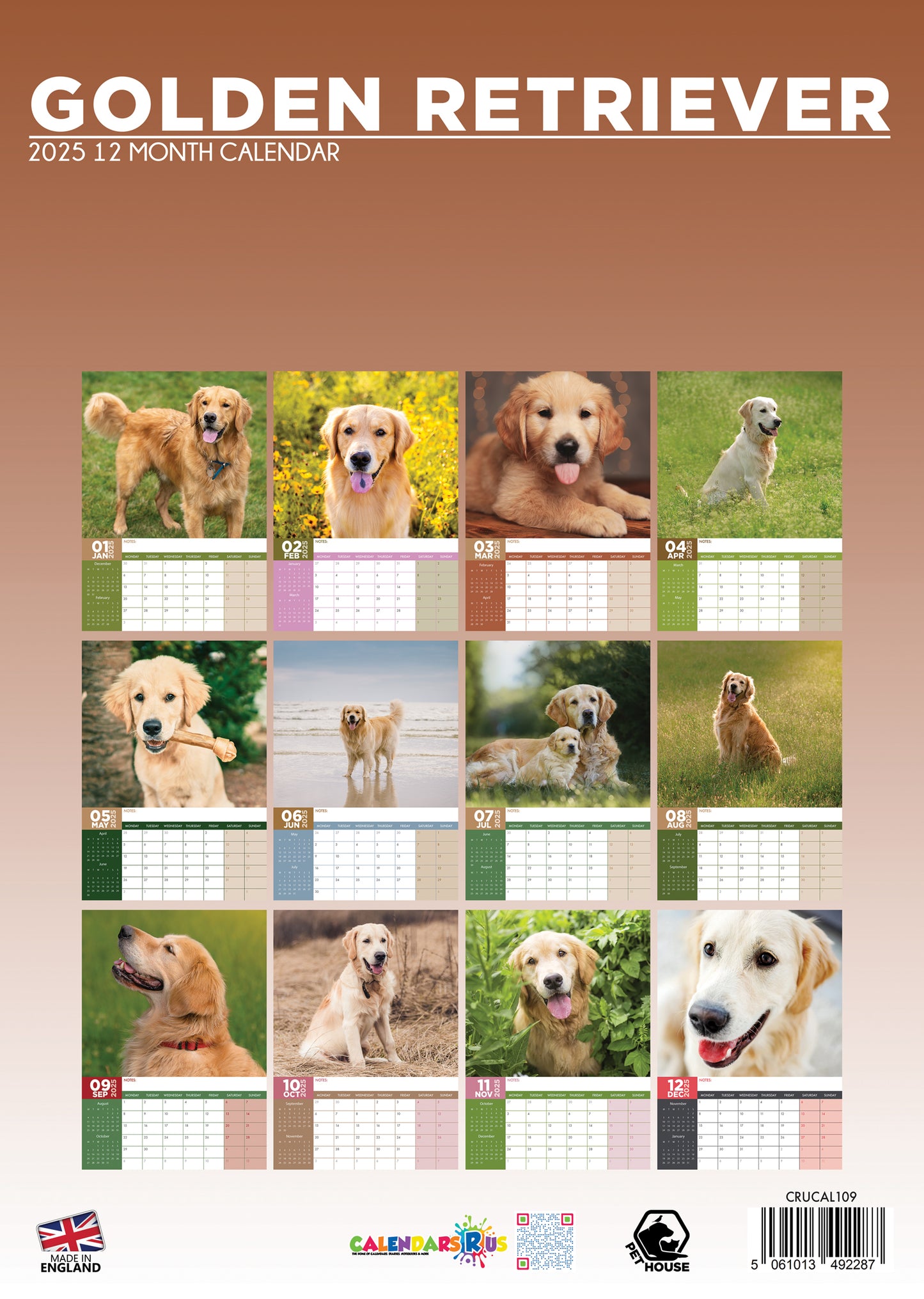 Golden Retriever Calendar 2025