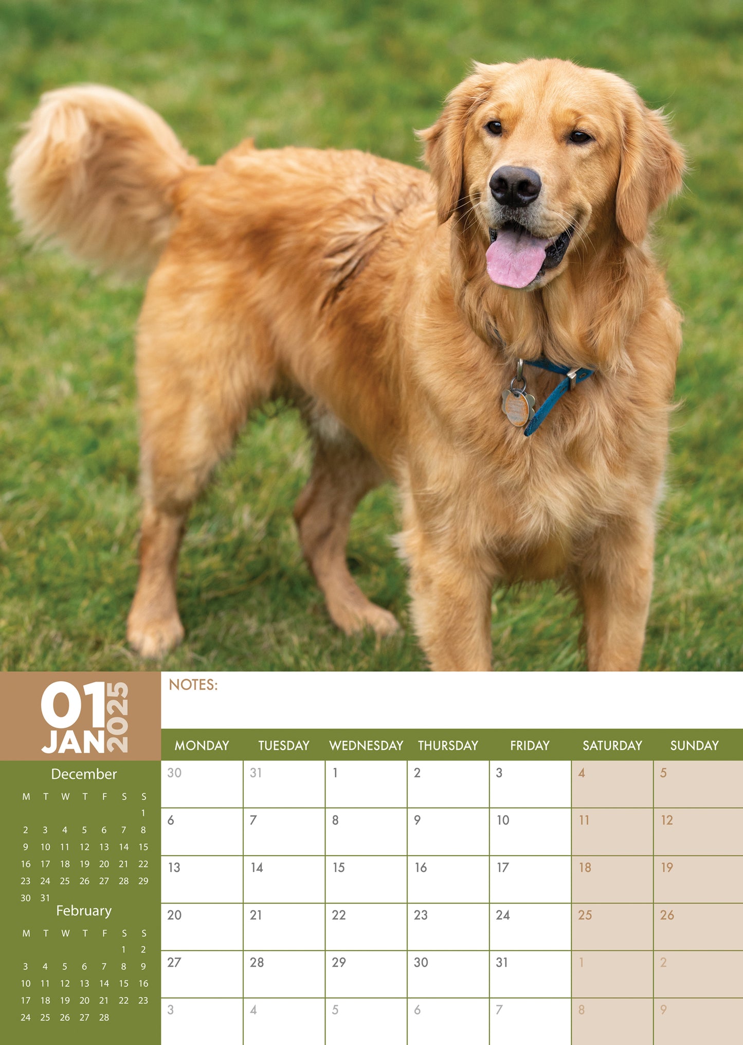 Golden Retriever Calendar 2025