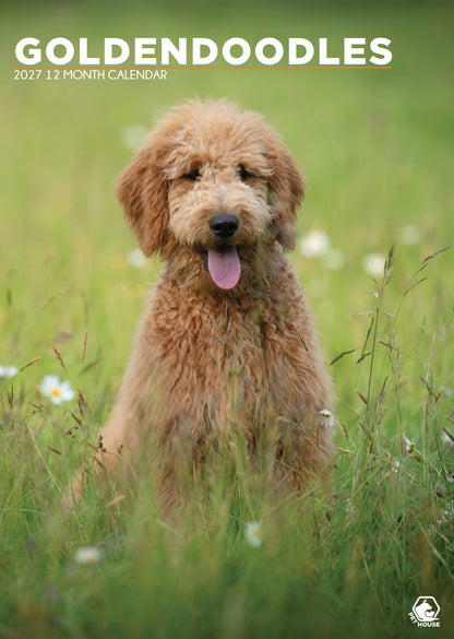 Goldendoodles - A3 Calendar 2027