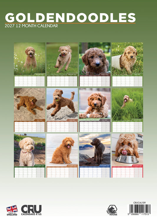 Goldendoodles - A3 Calendar 2027