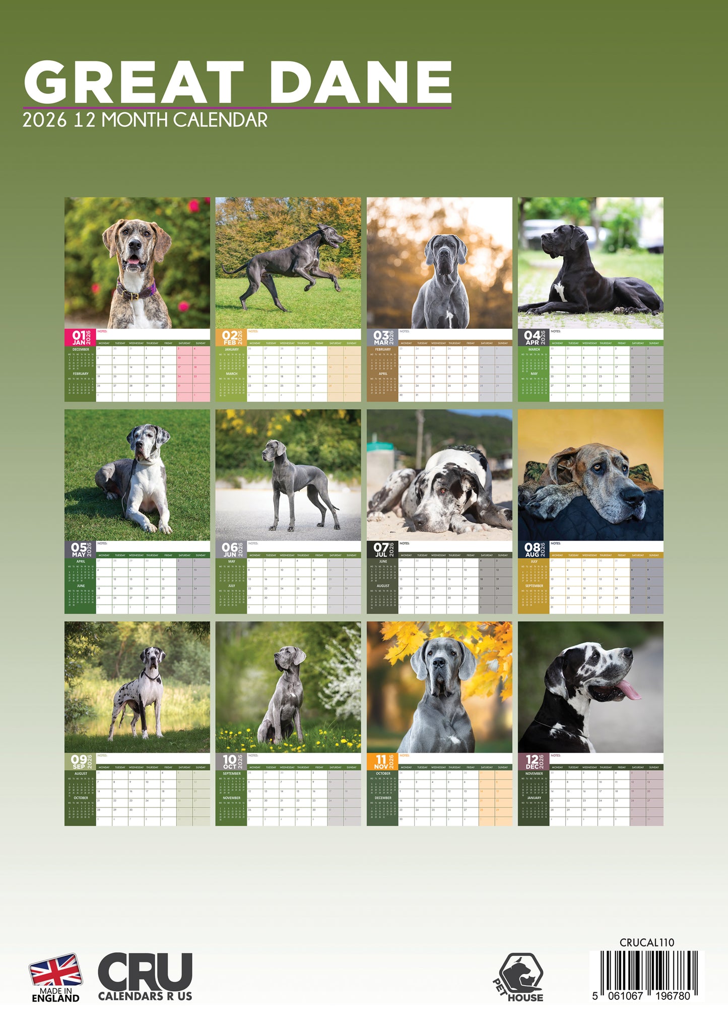 Great Dane - A3 Calendar 2026