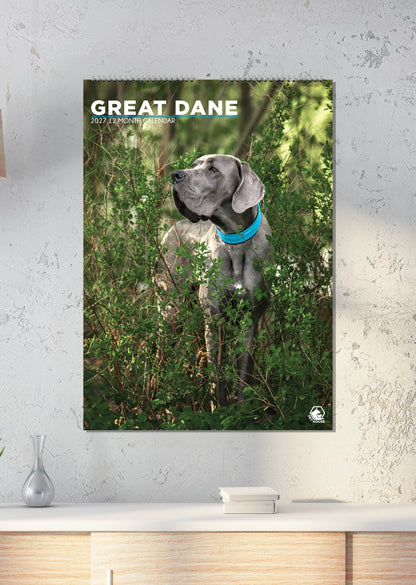 Great Dane - A3 Calendar 2027