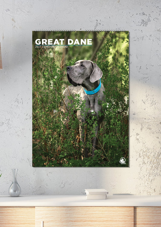 Great Dane - A3 Calendar 2027
