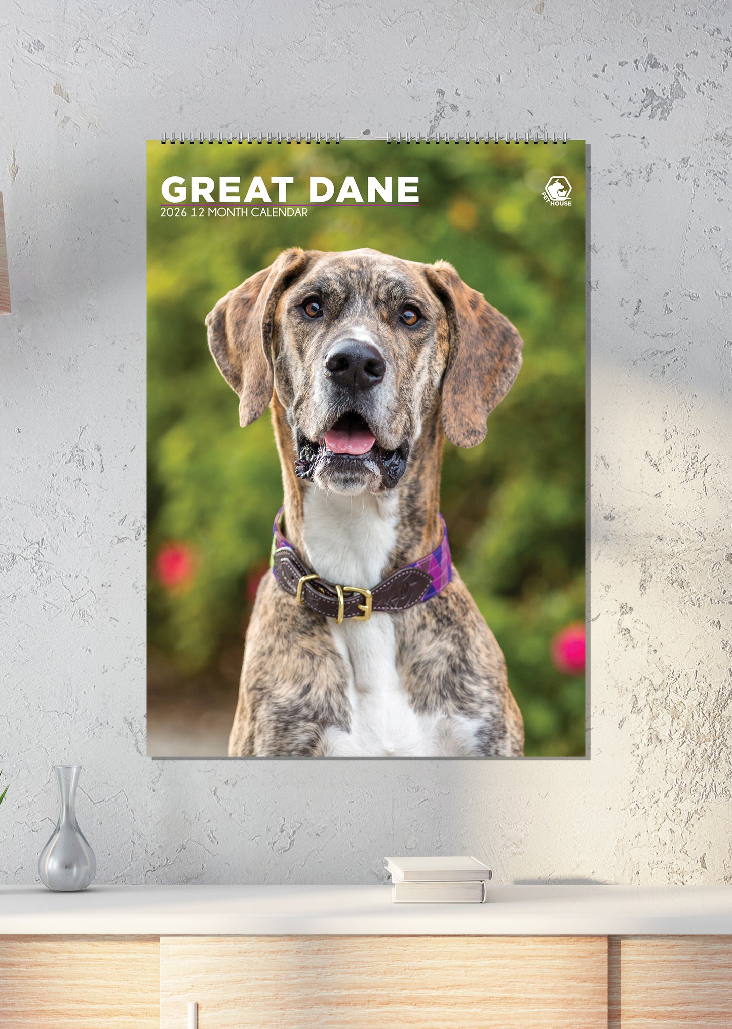 Great Dane - A3 Calendar 2026