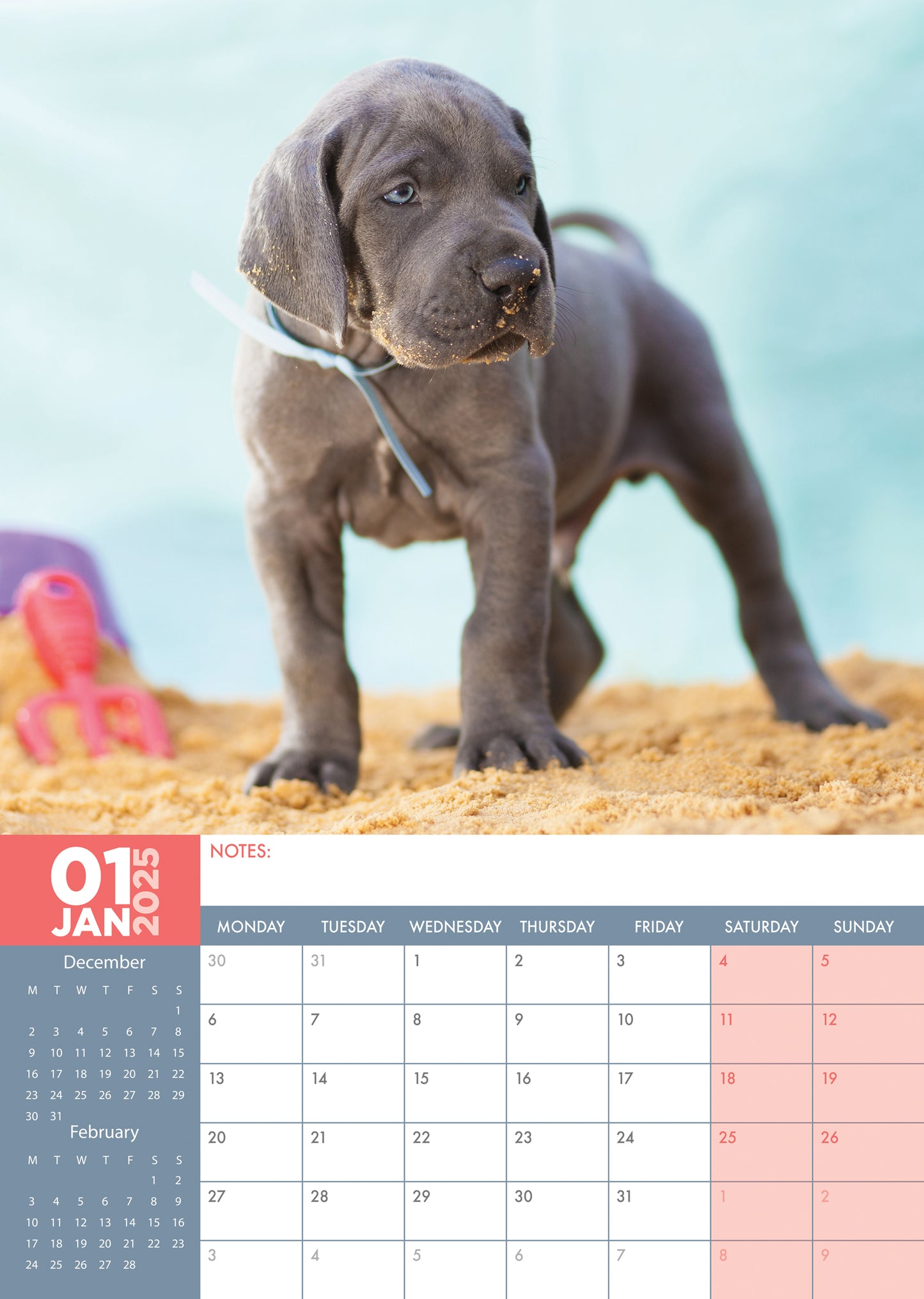 Great Dane Calendar 2025