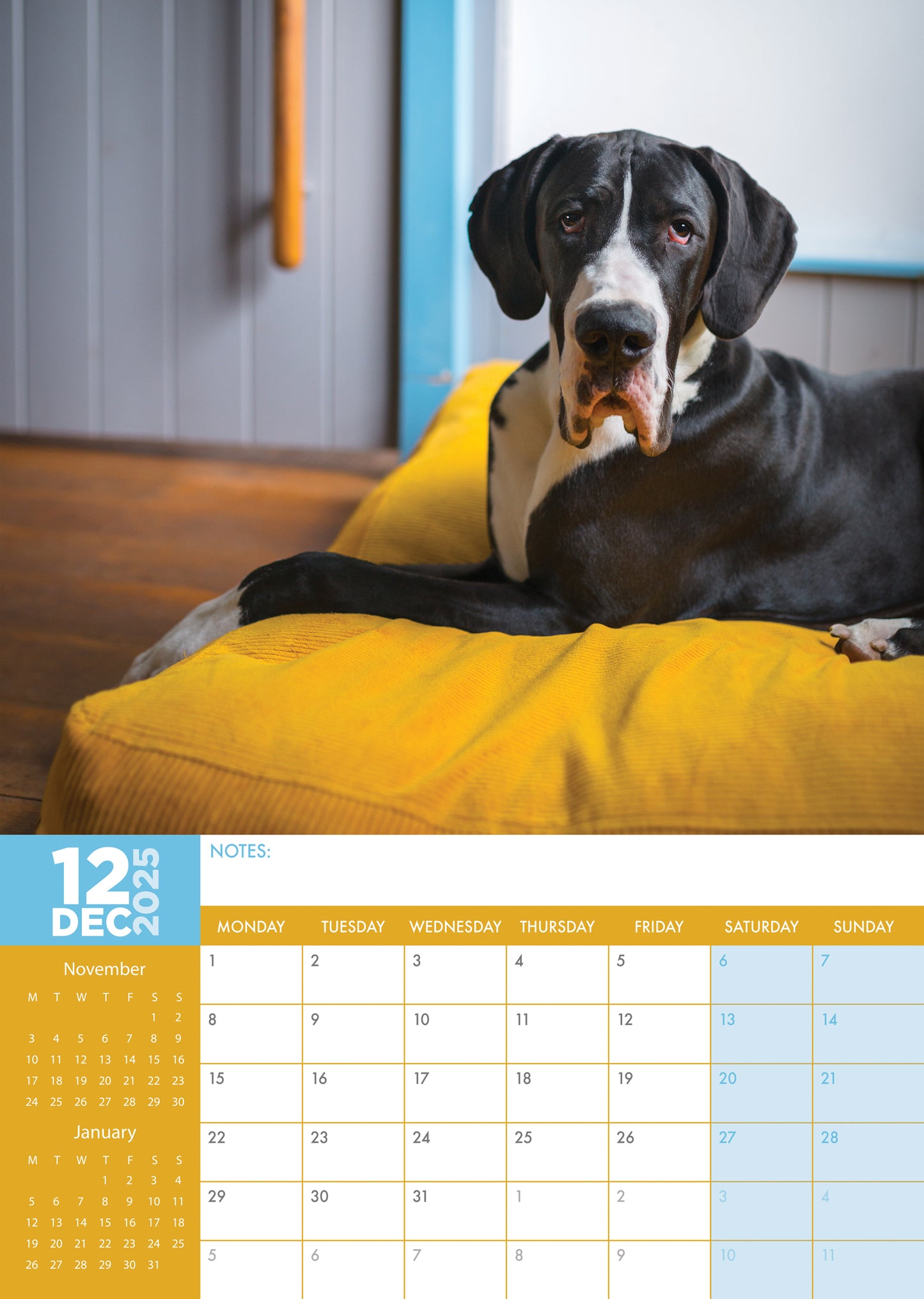 Great Dane Calendar 2025