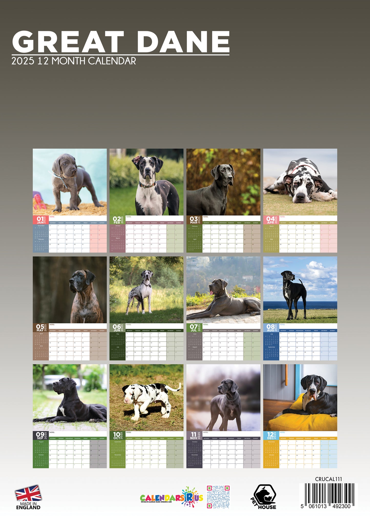 Great Dane Calendar 2025