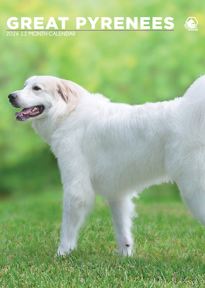 Great Pyrenees - A3 Calendar 2026