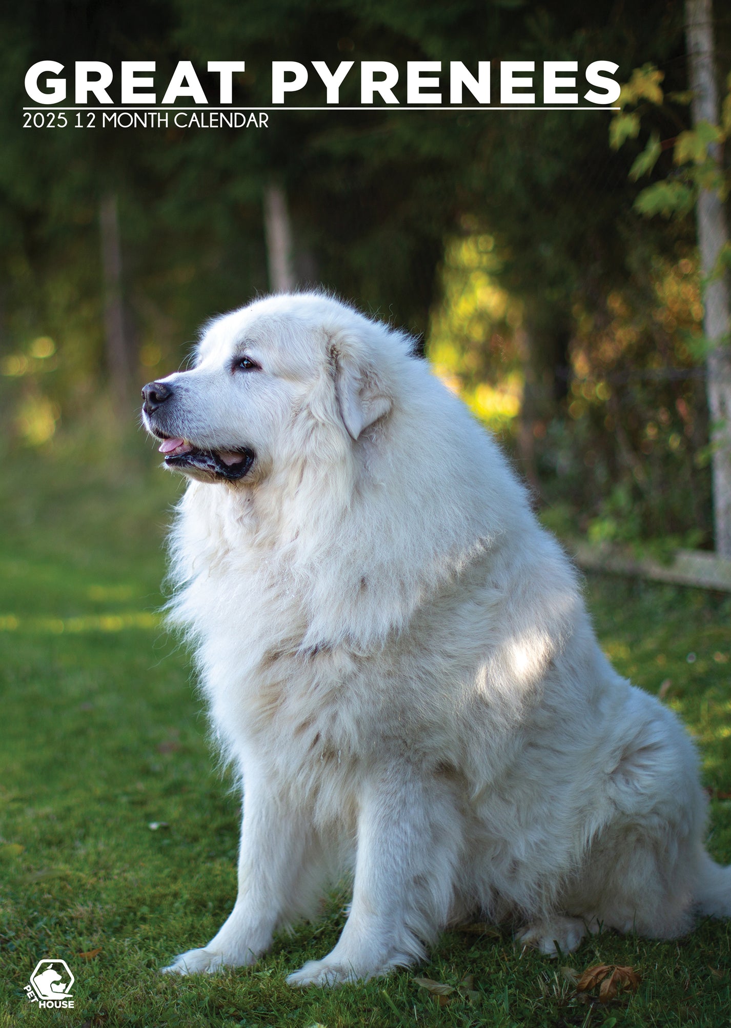 Great Pyrenees Calendar 2025 CalendarsRus