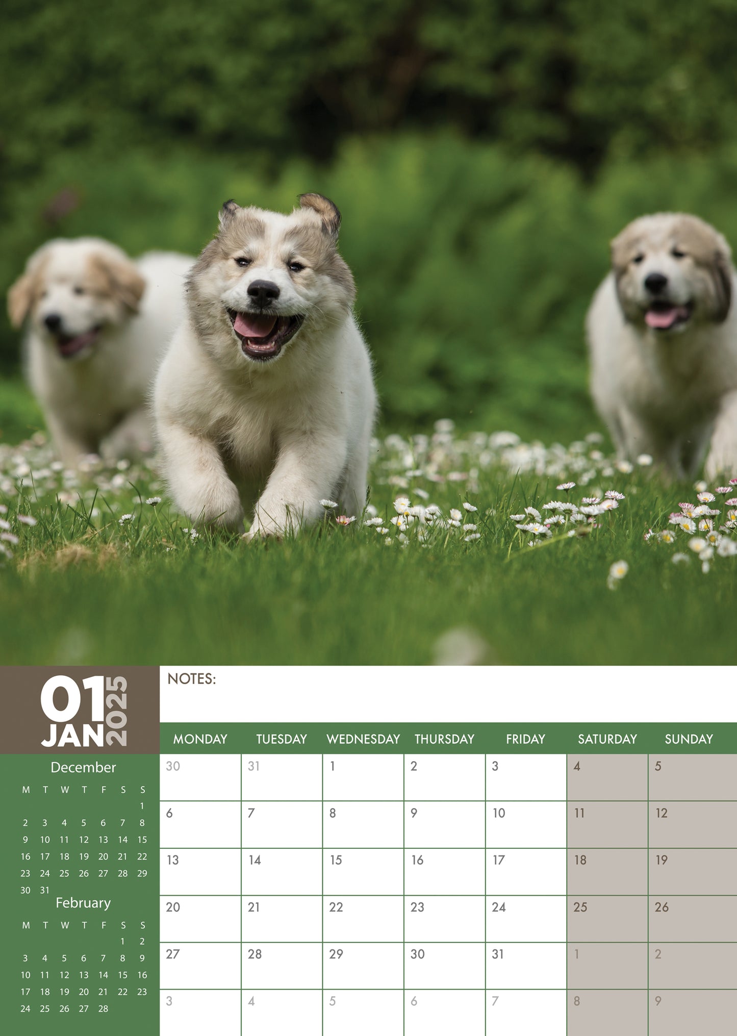 Great Pyrenees Calendar 2025