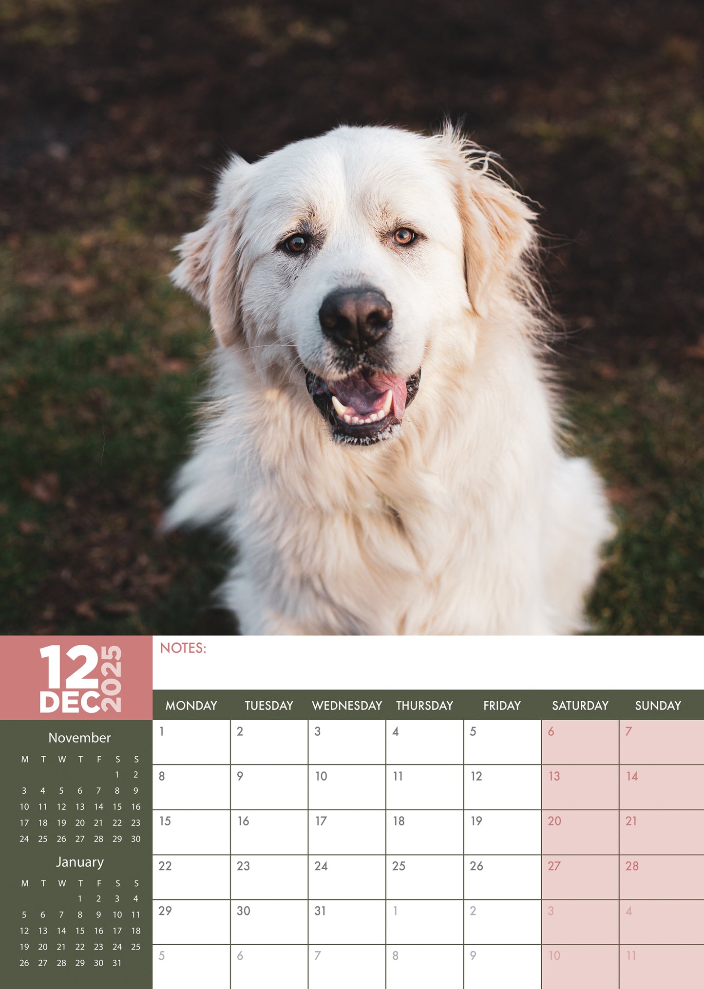 Great Pyrenees Calendar 2025