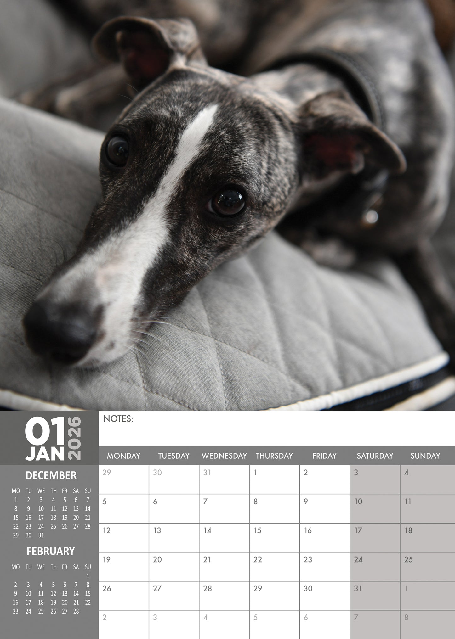 Greyhound - A3 Calendar 2026