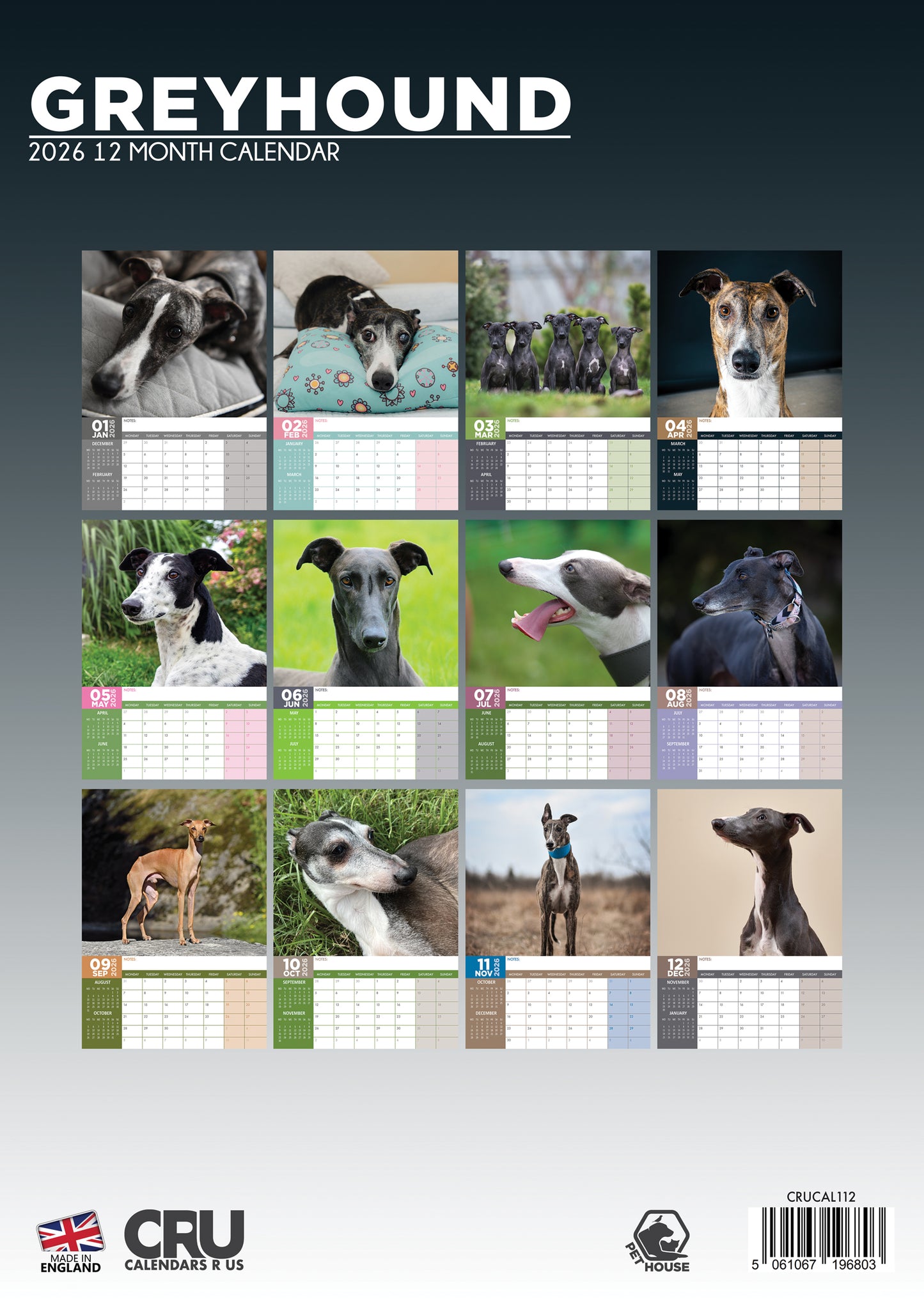 Greyhound - A3 Calendar 2026